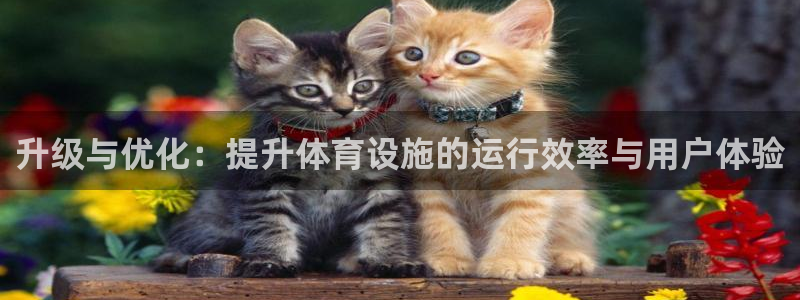 意昂体育4注册：升级与优化：提升体育设施的运行效率与