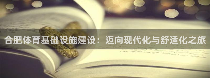 意昂4科技：合肥体育基础设施建设：迈向现代化与舒适化之旅