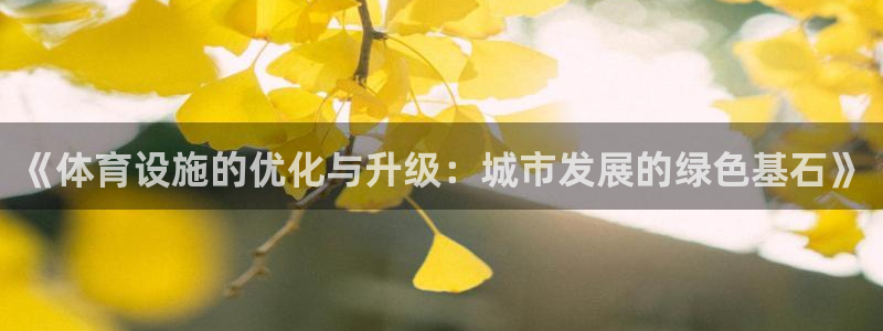 意昂体育4招商电话是多少：《体育设施的优化与升级：城