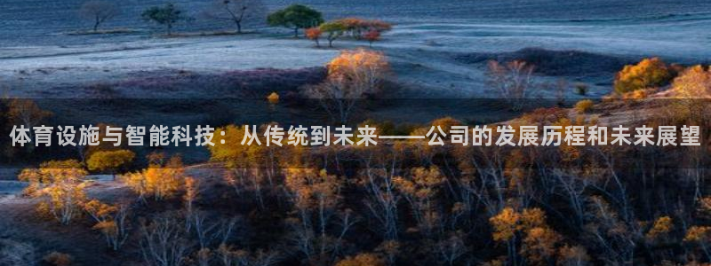 意昂平台体育：体育设施与智能科技：从传统到未来——公司的发展