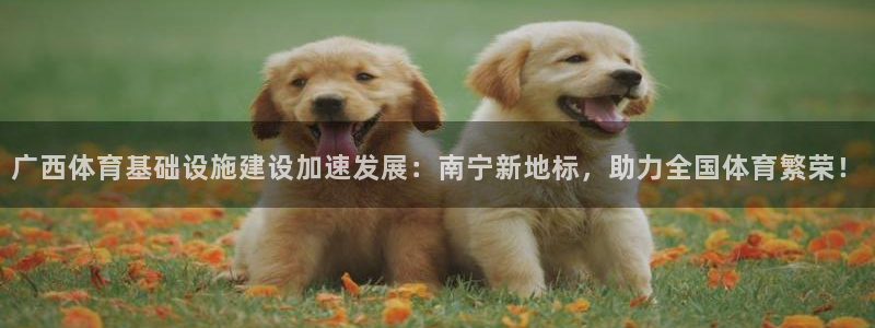 意昂平台体育：广西体育基础设施建设加速发展：南宁新地标，助力 