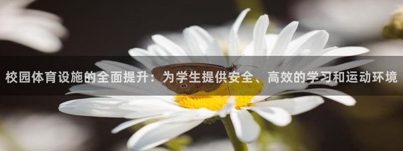 意昂体育4招商电话是多少啊：校园体育设施的全面提升：