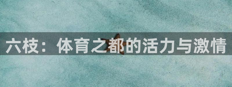 意昂4五金厂：六枝：体育之都的活力与激情