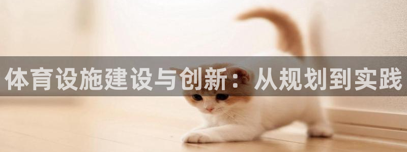 德国意昂4集团：体育设施建设与创新：从规划到实践