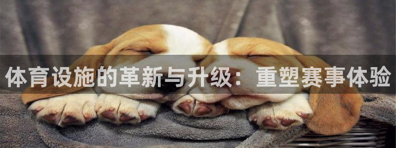 海南意昂体育4：体育设施的革新与升级：重塑赛事体验