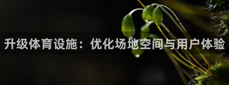 意昂体育4平台APP：升级体育设施：优化场地空间与用