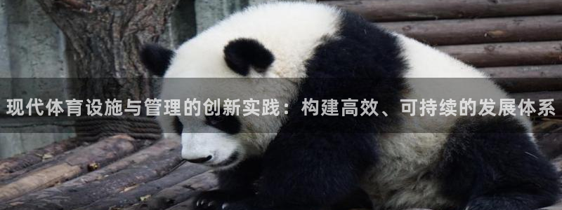 意昂4娱乐首页网站大全：现代体育设施与管理的创新实践