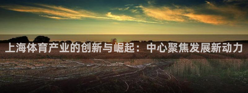 意昂4集团：上海体育产业的创新与崛起：中心聚焦发展新