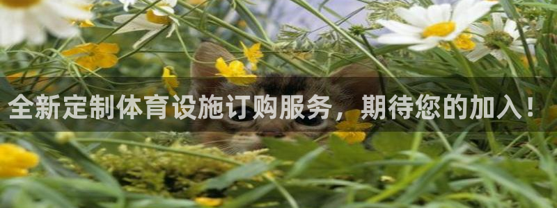 德国意昂4集团：全新定制体育设施订购服务，期待您的加