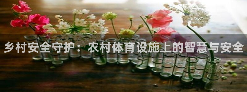意昂4科技：乡村安全守护：农村体育设施上的智慧与安全