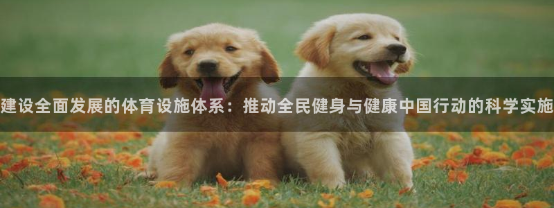 意昂体育4平台是正规平台吗知乎：建设全面发展的体育设