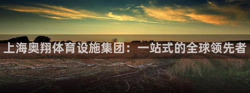 意昂4新能源：上海奥翔体育设施集团：一站式的全球领先