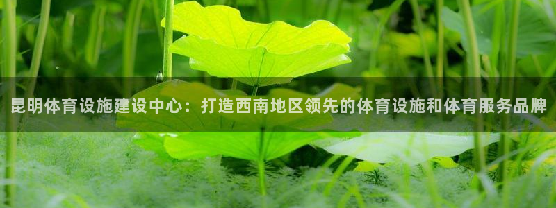 意昂4五金厂：昆明体育设施建设中心：打造西南地区领先