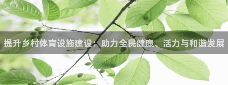 意昂体育4平台是正规平台吗知乎：提升乡村体育设施建设