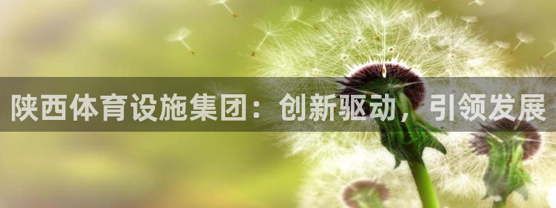 意昂4娱乐首页官网下载：陕西体育设施集团：创新驱动，
