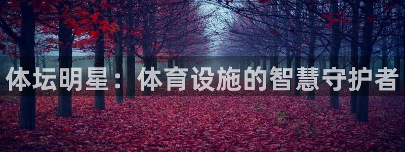 意昂体育4平台是正规平台吗知乎：体坛明星：体育设施的
