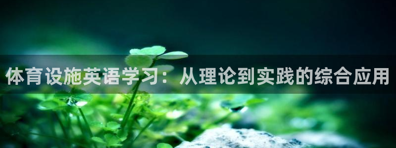 意昂体育4平台注册要钱吗：体育设施英语学习：从理论到