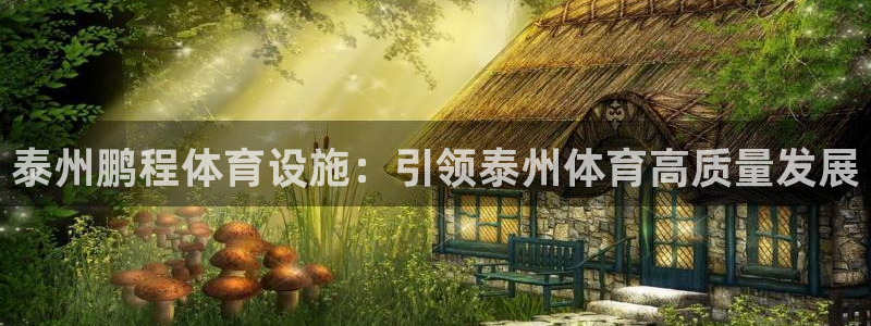 意昂4娱乐网站：泰州鹏程体育设施：引领泰州体育高质量