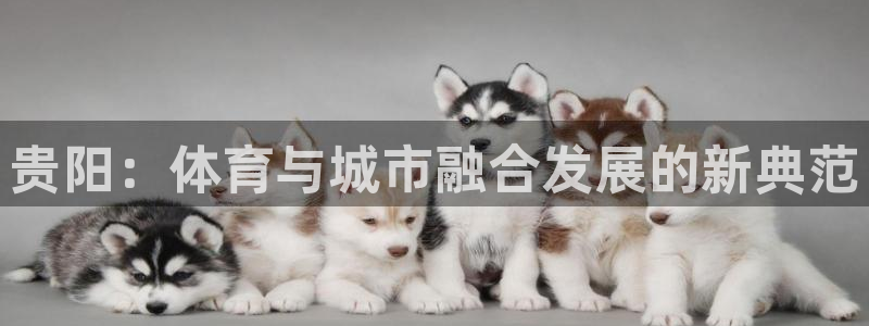 意昂4科技：贵阳：体育与城市融合发展的新典范
