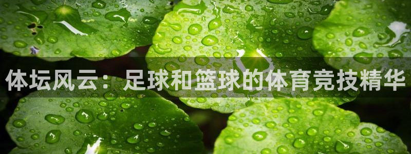 意昂4开户：体坛风云：足球和篮球的体育竞技精华