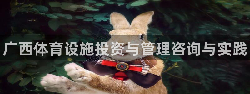 注册意昂4：广西体育设施投资与管理咨询与实践