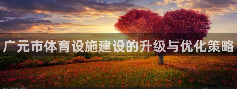 意昂体育4招商电话地址：广元市体育设施建设的升级与优