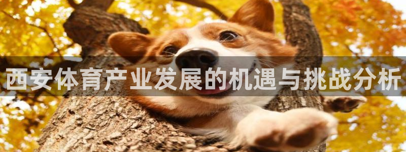 意昂体育4平台APP：西安体育产业发展的机遇与挑战分