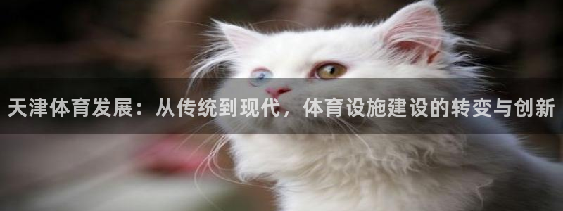 意昂4集团E.ON：天津体育发展：从传统到现代，体育设施建设