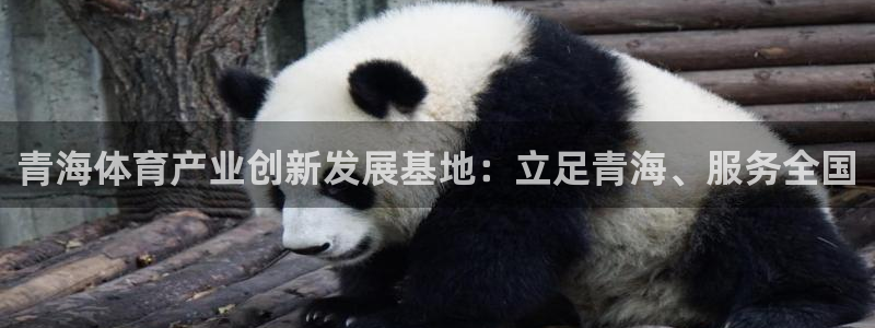 意昂体育4招商电话：青海体育产业创新发展基地：立足青