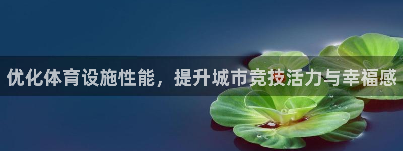 意昂体育4招商：优化体育设施性能，提升城市竞技活力与幸福感