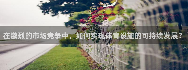 意昂体育4平台假的吗是真的吗：在激烈的市场竞争中，如何实现体