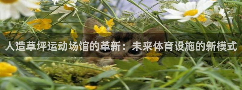 意昂4娱乐代理怎么样：人造草坪运动场馆的革新：未来体育设施的