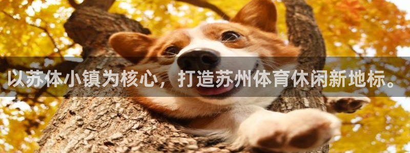 意昂体育4招商电话号码查询：以苏体小镇为核心，打造苏州体育休